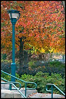 Lamp and autumn colors, Centenial Olympic Park. Atlanta, Georgia, USA (color)