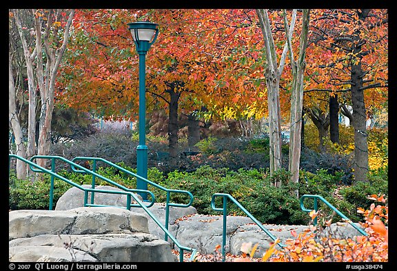 Railings, lamp, and trees in autumn colors, Centenial Olympic Park. Atlanta, Georgia, USA