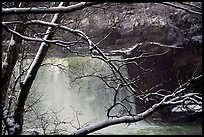 Snow-covered branch and Cumberland falls. Kentucky, USA (color)