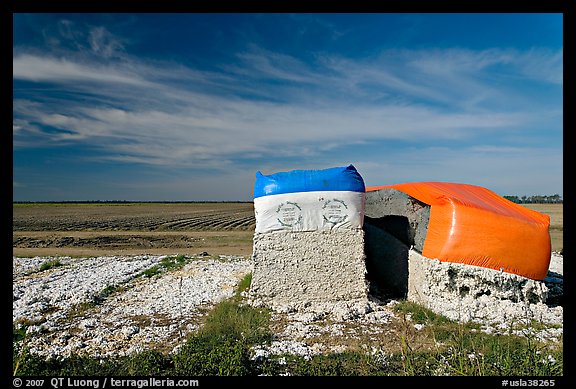 Modules of cotton stored at edge of field. Louisiana, USA (color)