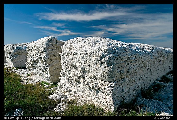 Cotton modules. Louisiana, USA