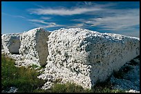 Cotton modules. Louisiana, USA ( color)