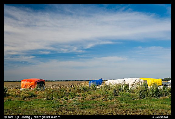 Harvested cotton modules. Louisiana, USA (color)