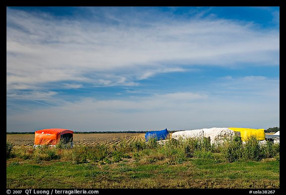 Harvested cotton modules. Louisiana, USA