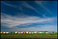 Cotton modules covered by tarps. Louisiana, USA