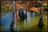 Pictures of Lake Providence