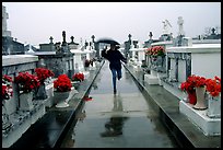 Rain in Saint Louis cemetery. New Orleans, Louisiana, USA