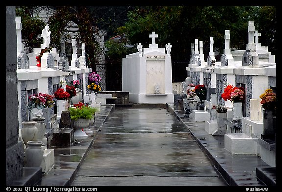 Tombs in Saint Louis cemetery. New Orleans, Louisiana, USA