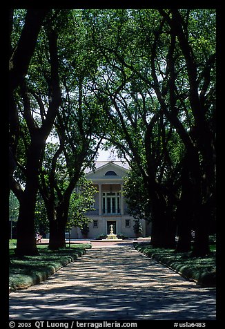 Tree alley leading to a Plantation house. Louisiana, USA