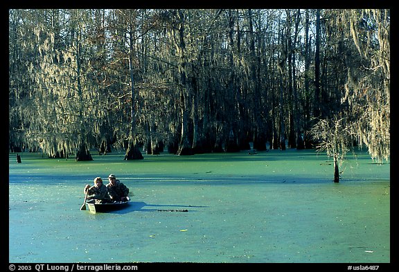 Boat on the swamp, Lake Martin. Louisiana, USA (color)