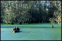 Boat on the swamp, Lake Martin. Louisiana, USA ( color)