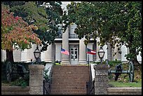 Cannons in front of the old courthouse museum. Vicksburg, Mississippi, USA (color)