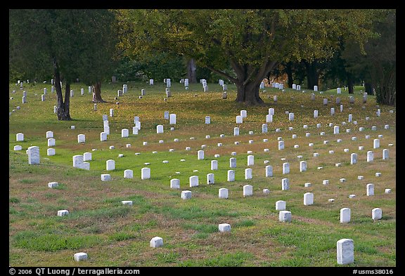 Headstones and trees, Vicksburg National Military Park. Vicksburg, Mississippi, USA (color)