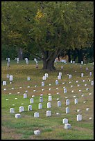 Cemetery, Vicksburg National Military Park. Vicksburg, Mississippi, USA (color)