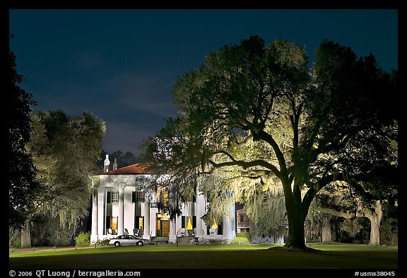 Antebellum mansion set in garden with  backlit oak tree at night. Natchez, Mississippi, USA