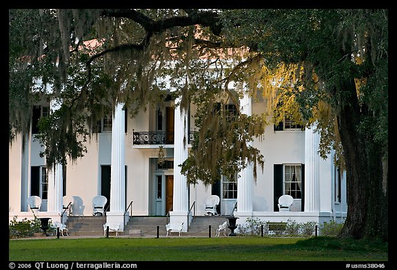 Antebellum house and live oak tree. Natchez, Mississippi, USA