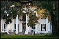 Antebellum house and live oak tree. Natchez, Mississippi, USA