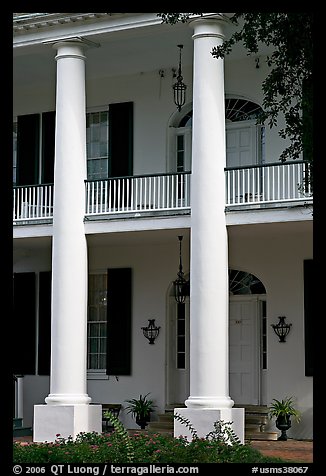 Columns on facade of Rosalie. Natchez, Mississippi, USA