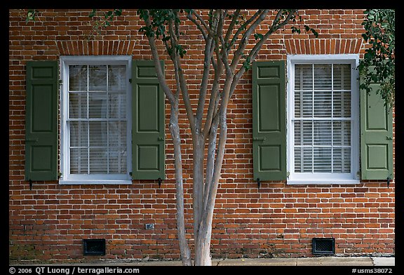 Tree and red brick facade of Texada. Natchez, Mississippi, USA