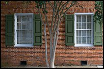 Tree and red brick facade of Texada. Natchez, Mississippi, USA