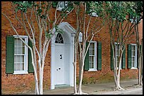 Rows of trees and Texada house. Natchez, Mississippi, USA