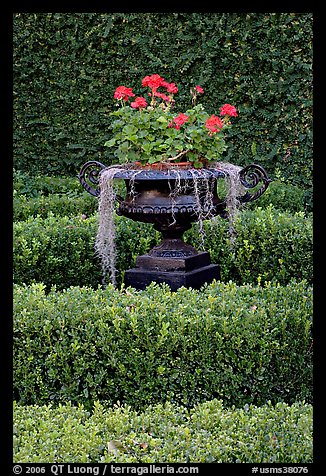 Vasque with flowers and spanish moss in garden. Natchez, Mississippi, USA (color)