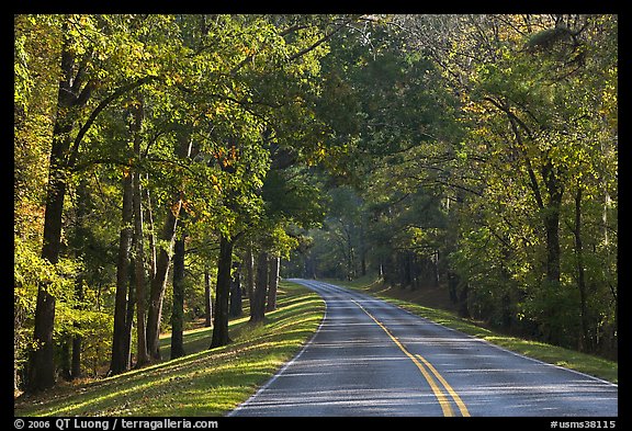 Roadway in forest. Natchez Trace Parkway, Mississippi, USA