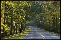 Roadway in forest. Natchez Trace Parkway, Mississippi, USA (color)