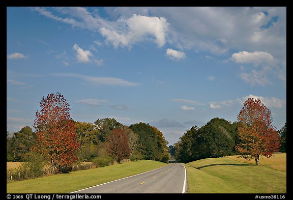 Road in meadow. Natchez Trace Parkway, Mississippi, USA (color)