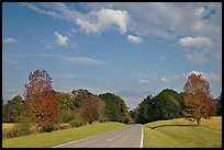 Road in meadow. Natchez Trace Parkway, Mississippi, USA