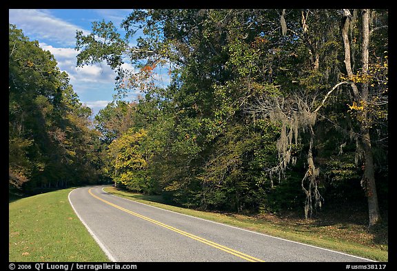 Road curve bordered by tree with Spanish Moss. Natchez Trace Parkway, Mississippi, USA (color)