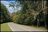 Road curve bordered by tree with Spanish Moss. Natchez Trace Parkway, Mississippi, USA