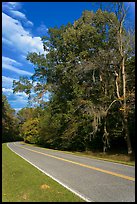 Road turn with trees and Spanish Moss. Natchez Trace Parkway, Mississippi, USA
