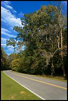 Road turn with trees and Spanish Moss. Natchez Trace Parkway, Mississippi, USA (color)