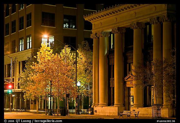 Trees in fall colors and greek revival building at night. Jackson, Mississippi, USA