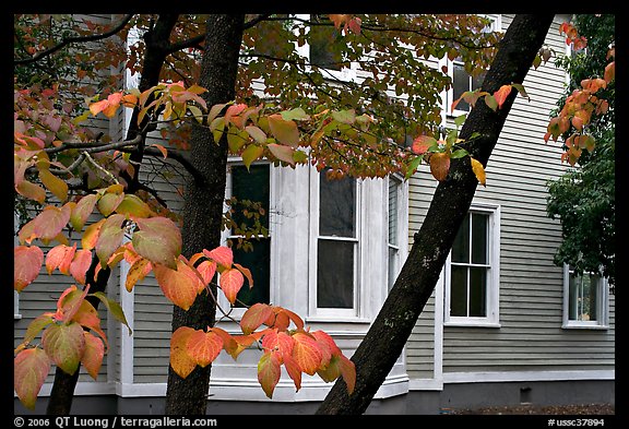Leaves and house detail. Columbia, South Carolina, USA (color)