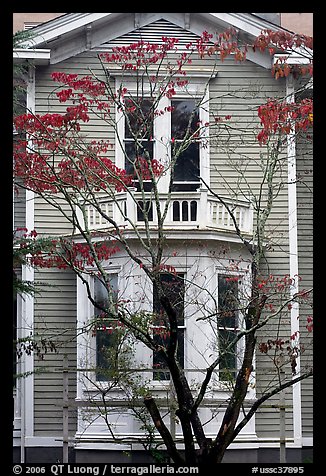 Tree in fall color and house. Columbia, South Carolina, USA