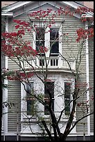 Tree in fall color and house. Columbia, South Carolina, USA (color)