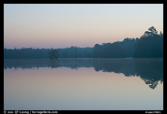 Lake at dawn. South Carolina, USA