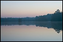 Lake at dawn. South Carolina, USA