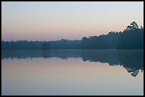 Lake at dawn. South Carolina, USA (color)