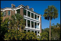 Antebellum house and palm tree. Charleston, South Carolina, USA