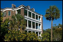 Antebellum house and palm tree. Charleston, South Carolina, USA (color)