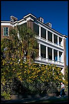 Historic antebellum mansion. Charleston, South Carolina, USA ( color)