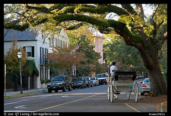 Street and horse carriage. Charleston, South Carolina, USA (color)