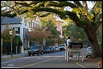 Street and horse carriage. Charleston, South Carolina, USA (color)