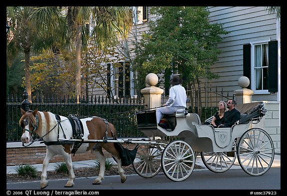 Couple on horse carriage tour of historic district. Charleston, South Carolina, USA