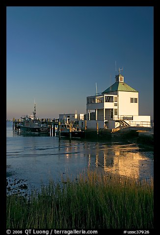 Grasses and harbor house. Charleston, South Carolina, USA (color)