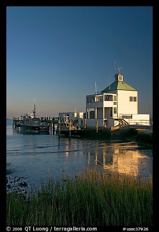 Grasses and harbor house. Charleston, South Carolina, USA