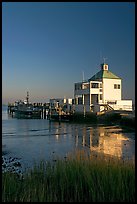 Grasses and harbor house. Charleston, South Carolina, USA (color)